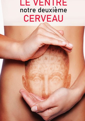 Le Ventre, notre deuxième cerveau