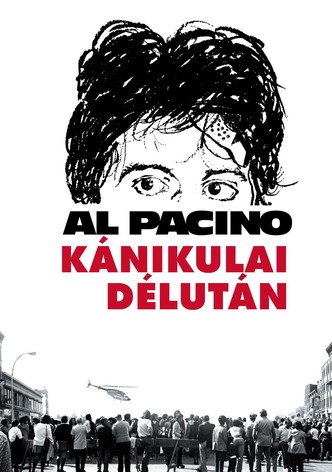 Kánikulai délután