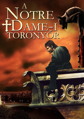 A Notre Dame-i toronyőr