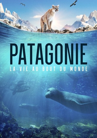 Patagonie : La vie au bout du monde