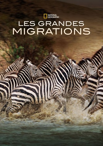 Les grandes migrations