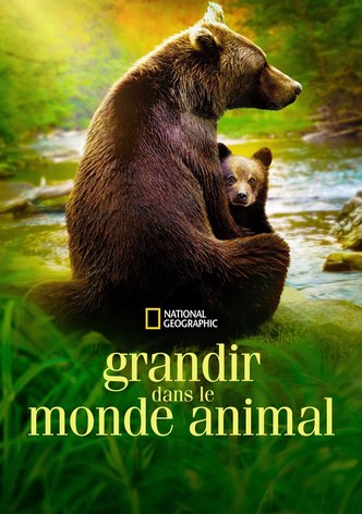 Grandir dans le monde animal