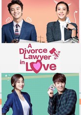 Divorce Lawyer in Love