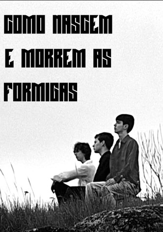 Como Nascem e Morrem as Formigas