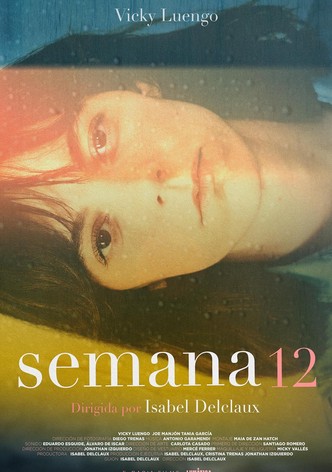 Week 12