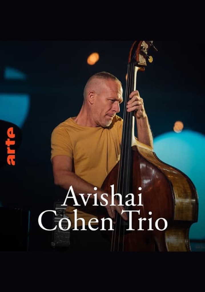 Avishai Cohen Trio – Shifting sands