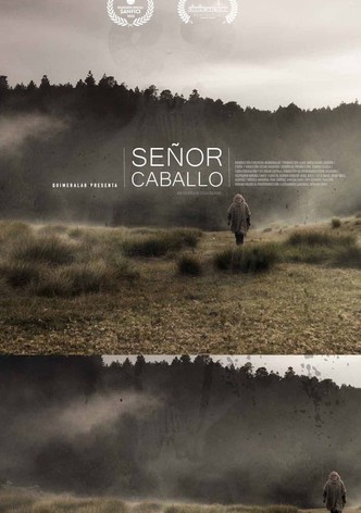 Señor Caballo