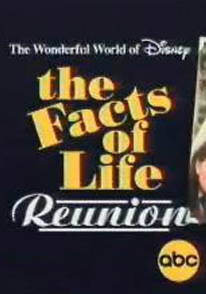 The Facts of Life Reunion