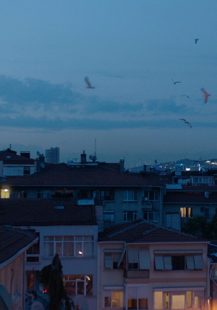 Yanıltıcı Derinlikler