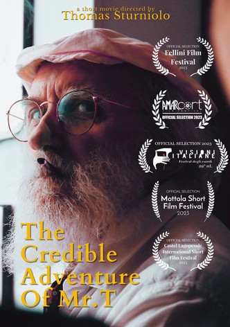 The Credible Adventures of Mr. T