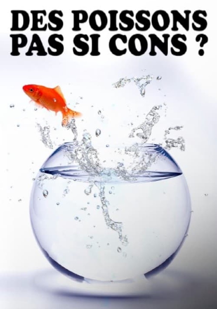 Des poissons, pas si cons ?