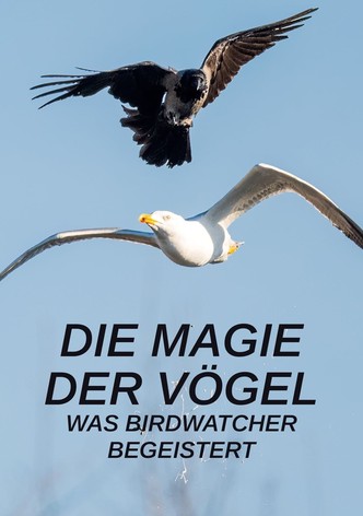 Die Magie der Vögel - Was Birdwatcher begeistert