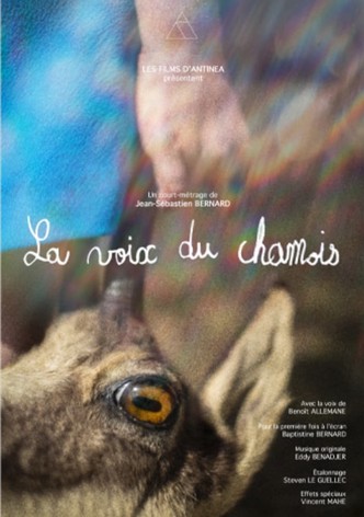 La voix du chamois