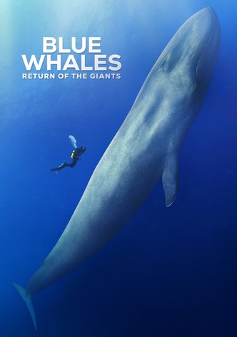 Blue Whales: Return of the Giants