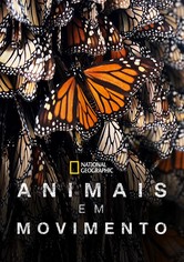 Viagens Incríveis de Animais