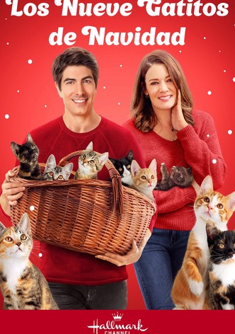 Los Nueve Gatitos de Navidad