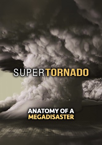 SuperTornado: Anatomy of a MegaDisaster