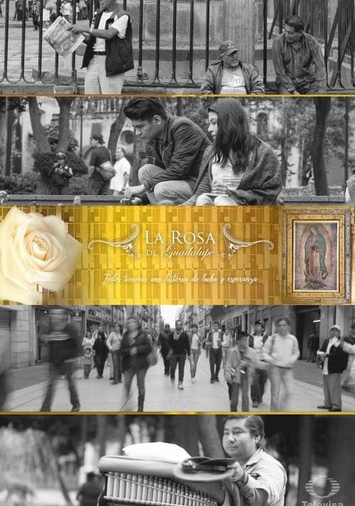 La Rosa De Guadalupe El Destino Hara Lo Suyo La rosa de Guadalupe temporada 1 - Ver episodios online