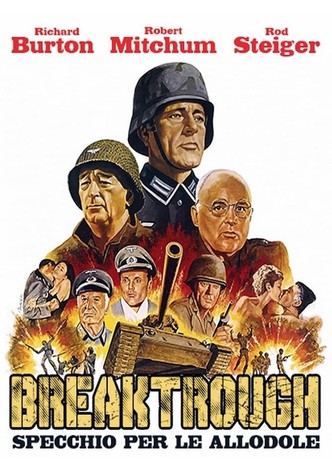 Specchio per le allodole