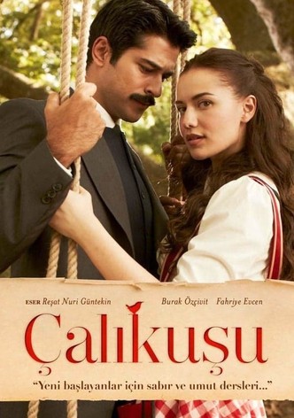 Watch lovebird turkish series online outlet free