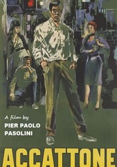 Accattone, un muchacho de Roma