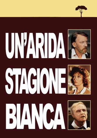 Un'arida stagione bianca