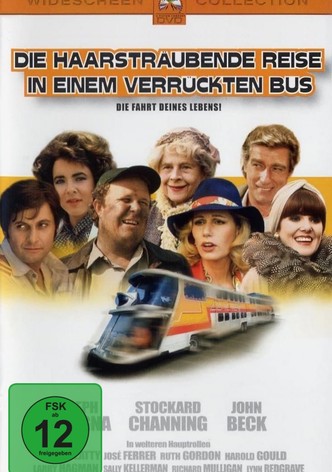 Die haarsträubende Reise in einem verrückten Bus