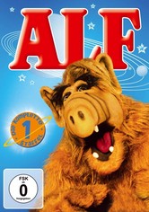 ALF