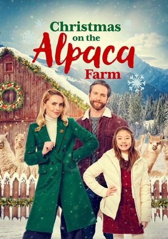 Christmas on the Alpaca Farm