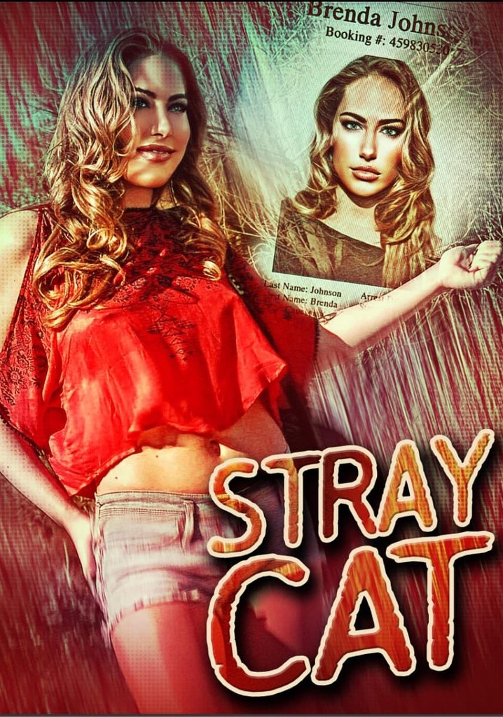 Stray Cat