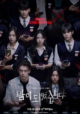 밤이 되었습니다