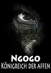 NGOGO - Königreich der Affen