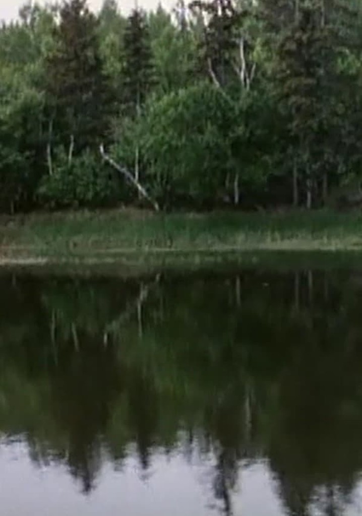 La voix des rivières