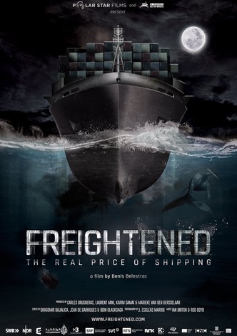 FREIGHTENED El precio real del transporte marítimo