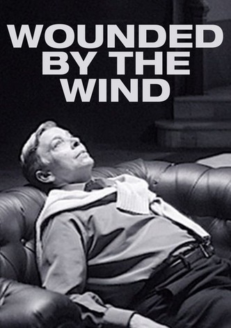 Die Wunden des Windes