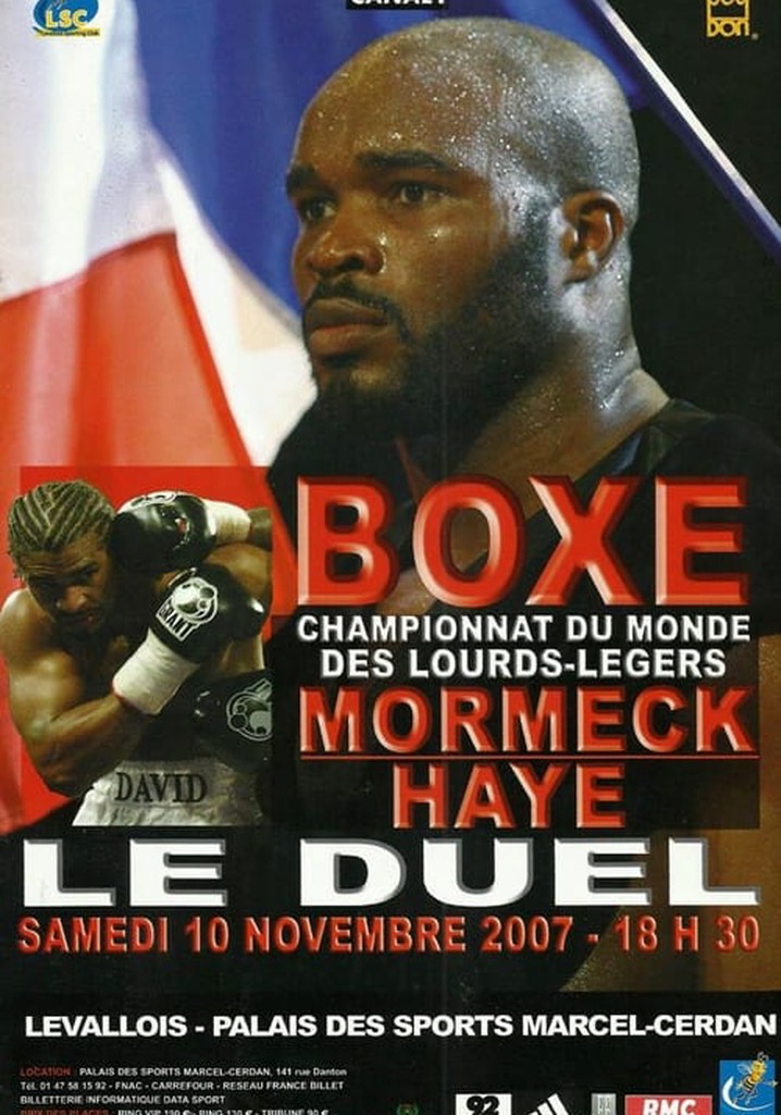 Jean Marc Mormeck vs. David Haye