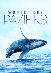 Wunder des Pazifiks