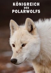 Königreich des Polarwolfs