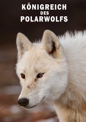 Königreich des Polarwolfs