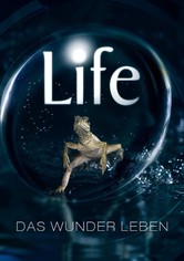 Life - Das Wunder Leben