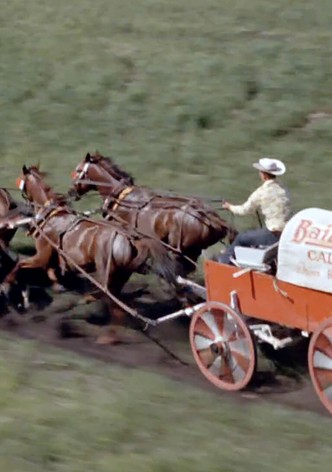 Chuckwagon