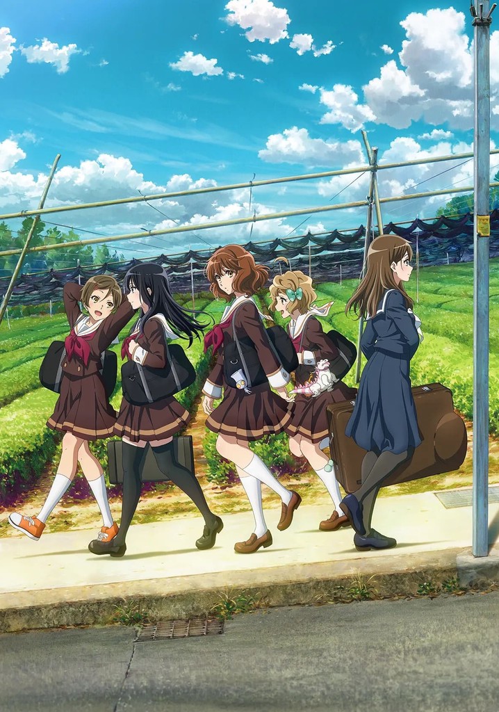 Sound! Euphonium Season 3 - watch episodes streaming online