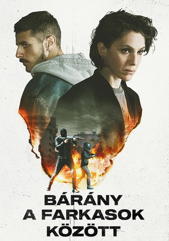 Bárány a farkasok között