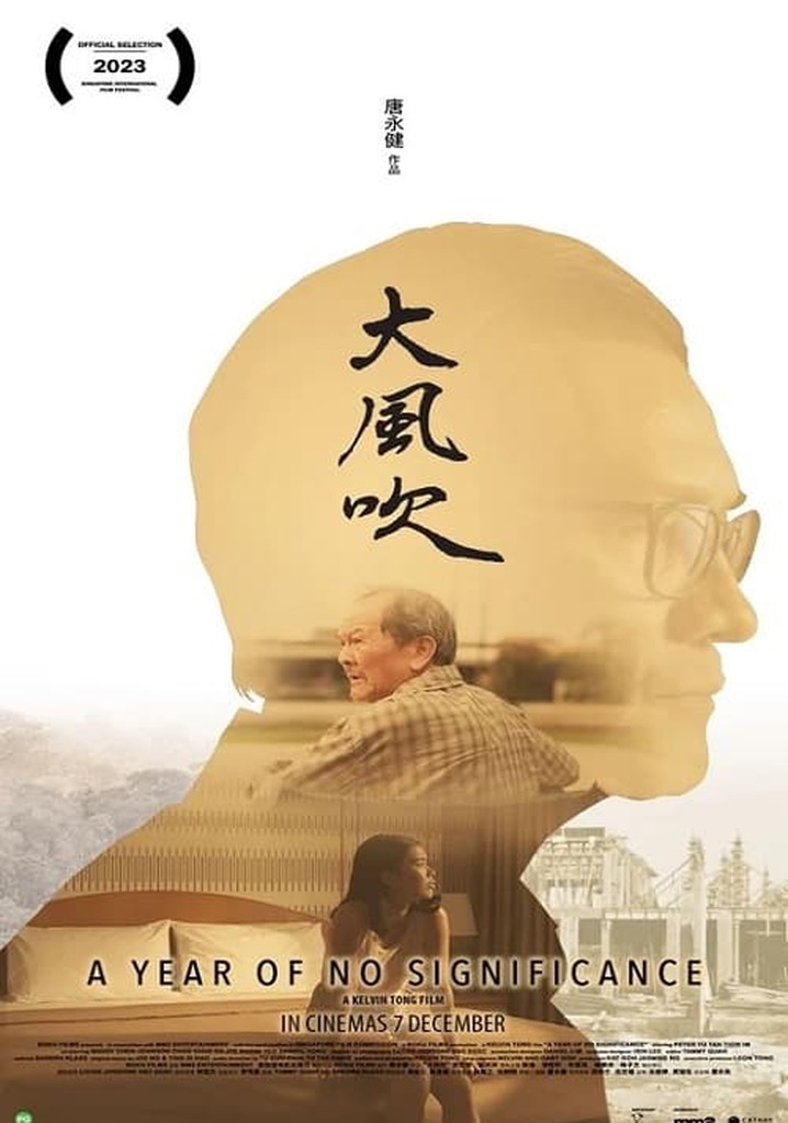 A Year of No Significance