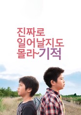 진짜로 일어날지도 몰라 기적