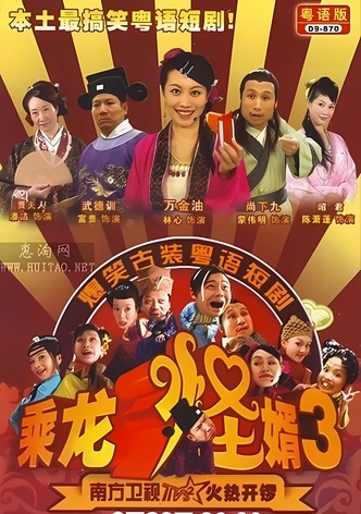 乘龙怪婿