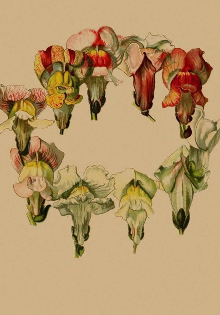 Stories In Place: Plante.