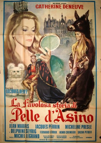 La favolosa storia di pelle d'asino