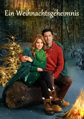 Ein Weihnachtsgeheimnis