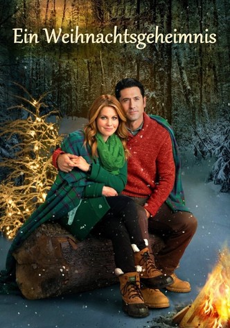 Ein Weihnachtsgeheimnis
